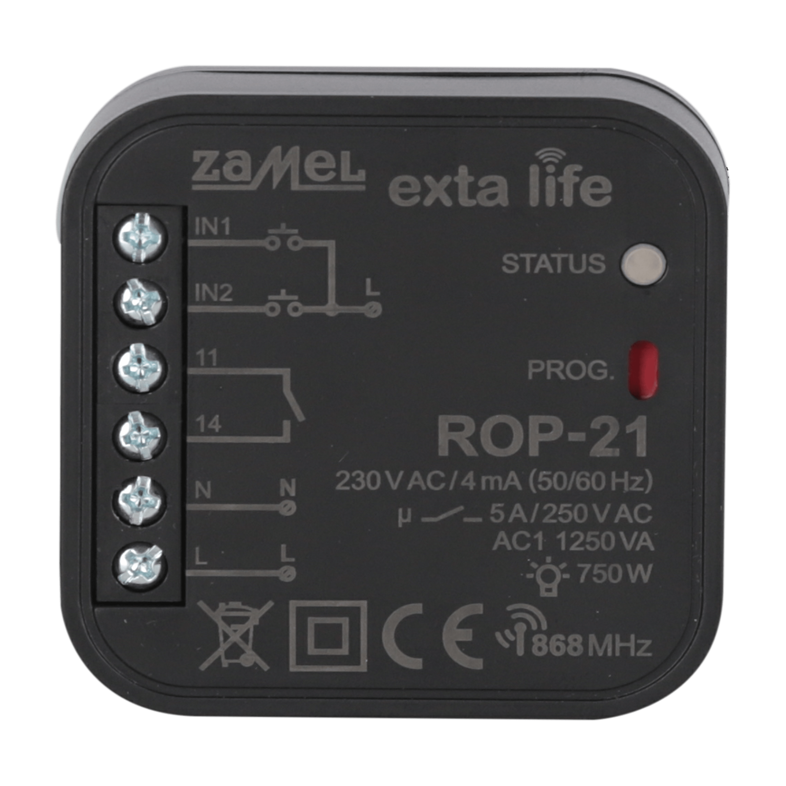 Radio light and electrical equipment controller, 1-channel