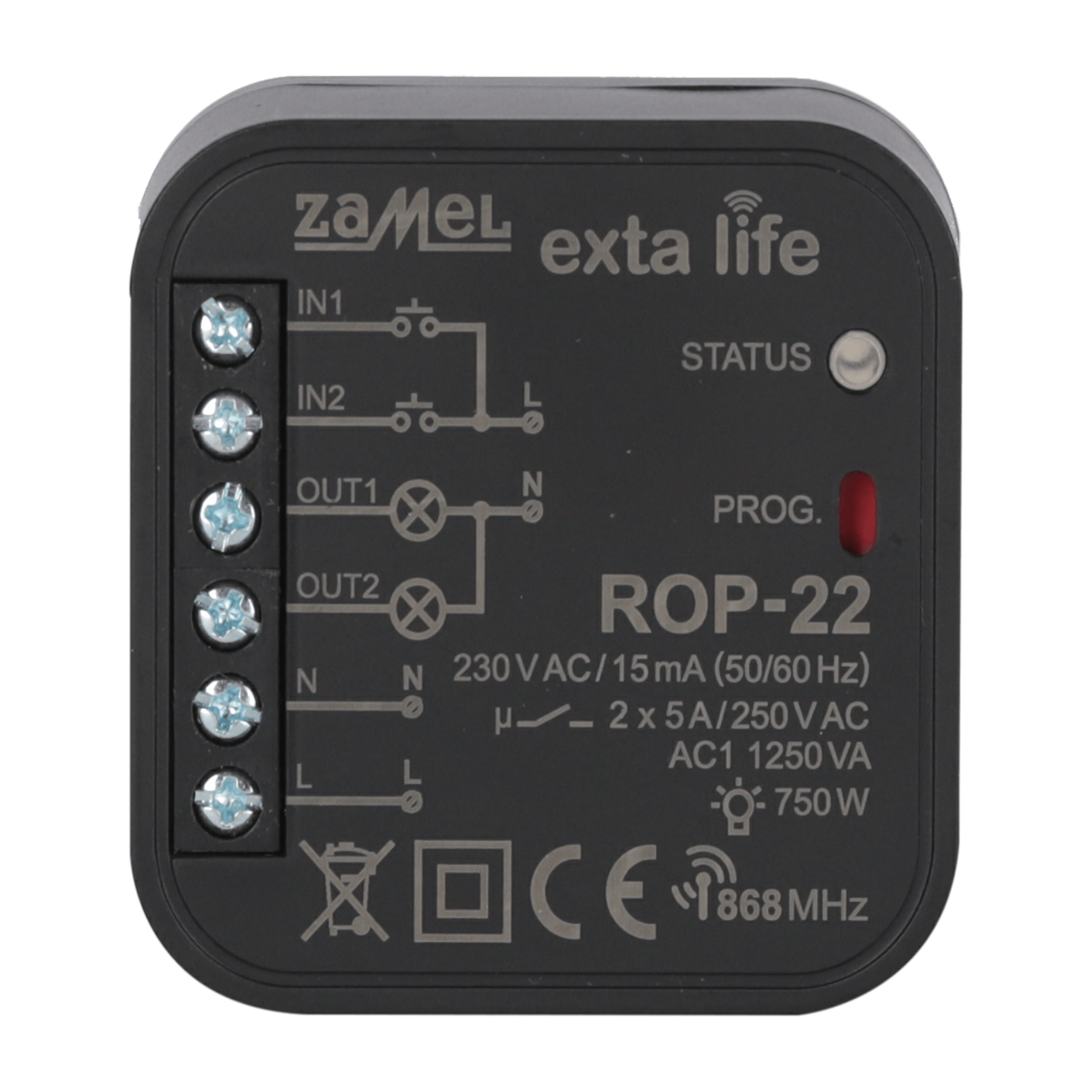 Radio light and electrical equipment controller, 2-channel