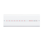 1_THL10000013+_1