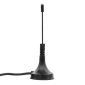 ANT-01_1